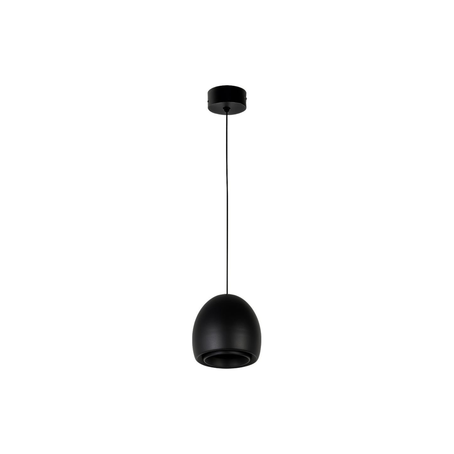 Pendant Light Housing 201