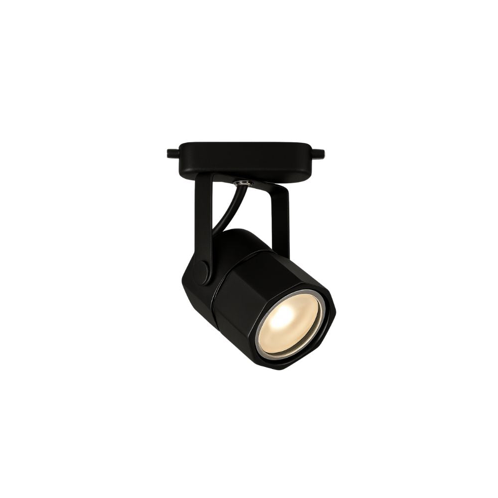 Hexagon Track Lighting Housing