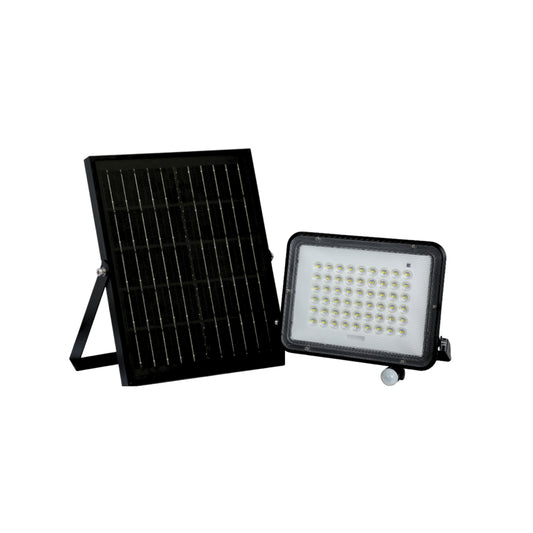 Motion Sensor Solar Flood Light