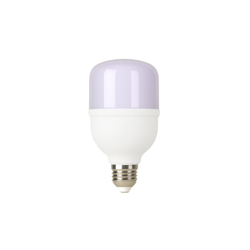 E27 High Power Bulb