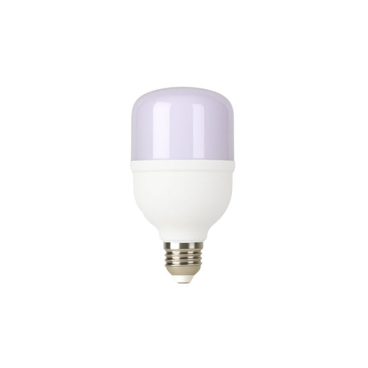 E27 High Power Bulb